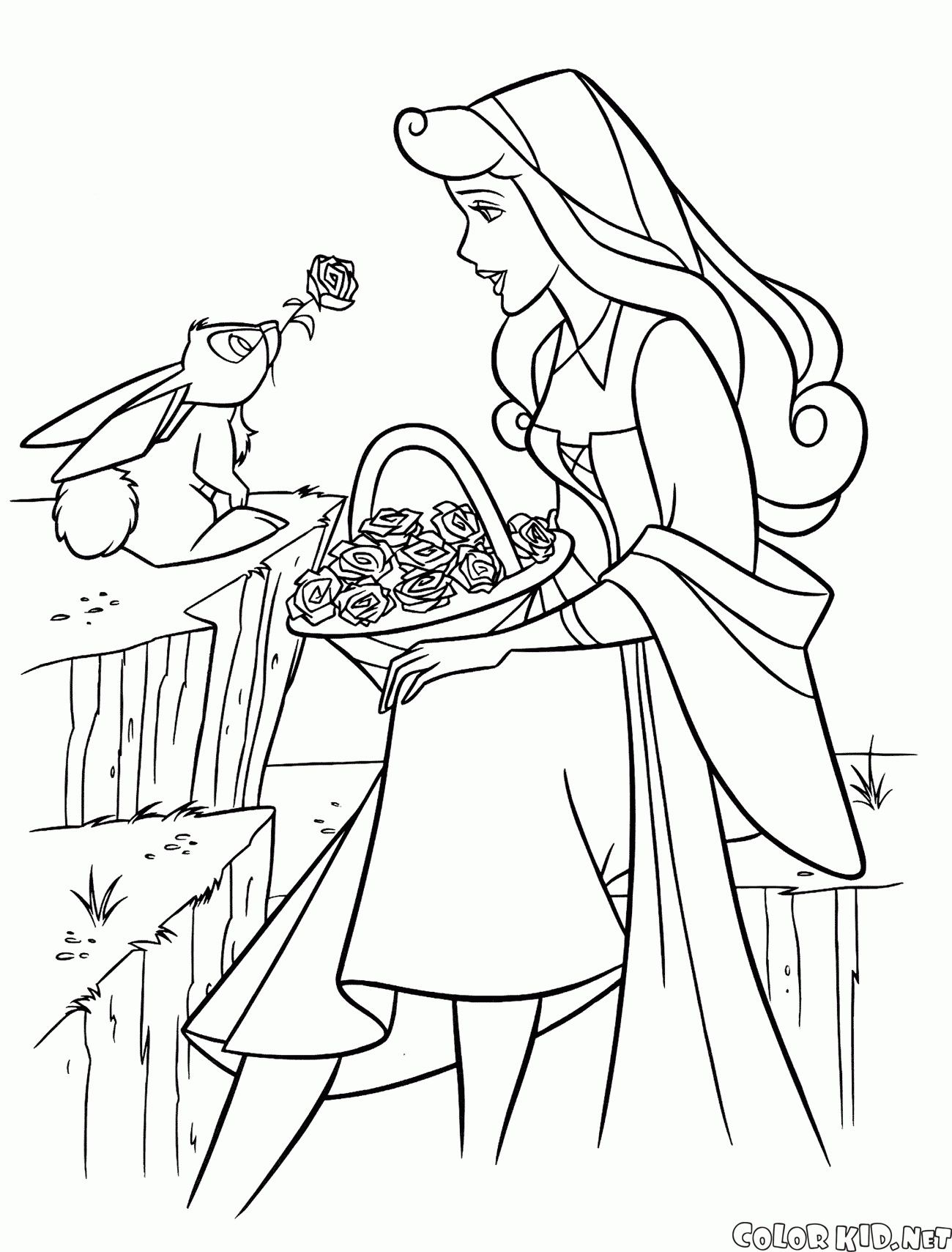奧羅拉公主和兔子