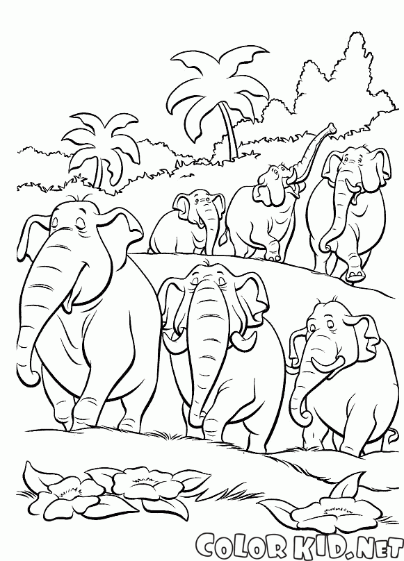 大象的群