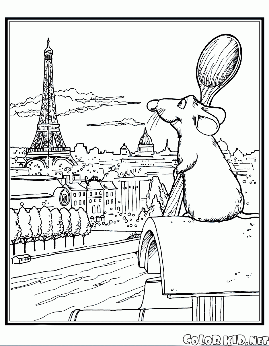 雷米和巴黎