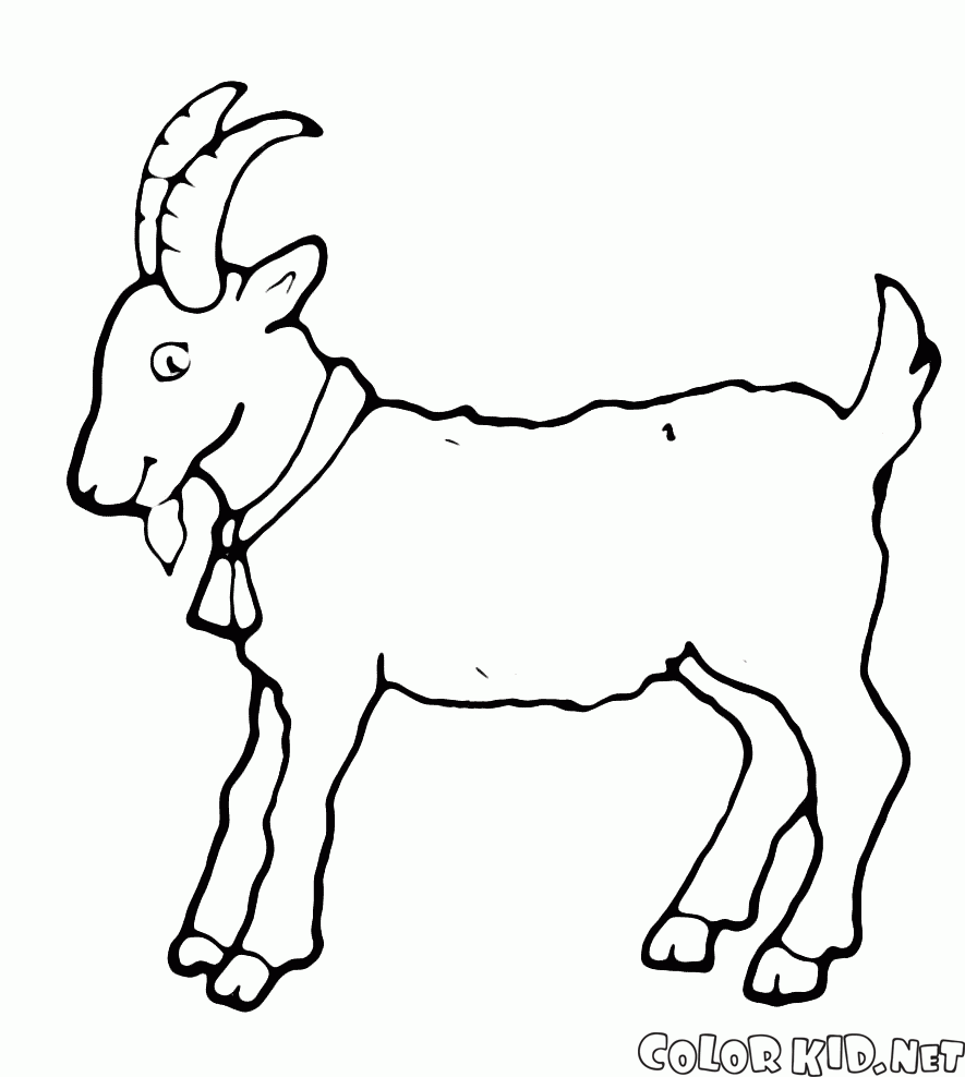 山羊 - 今年的象徵