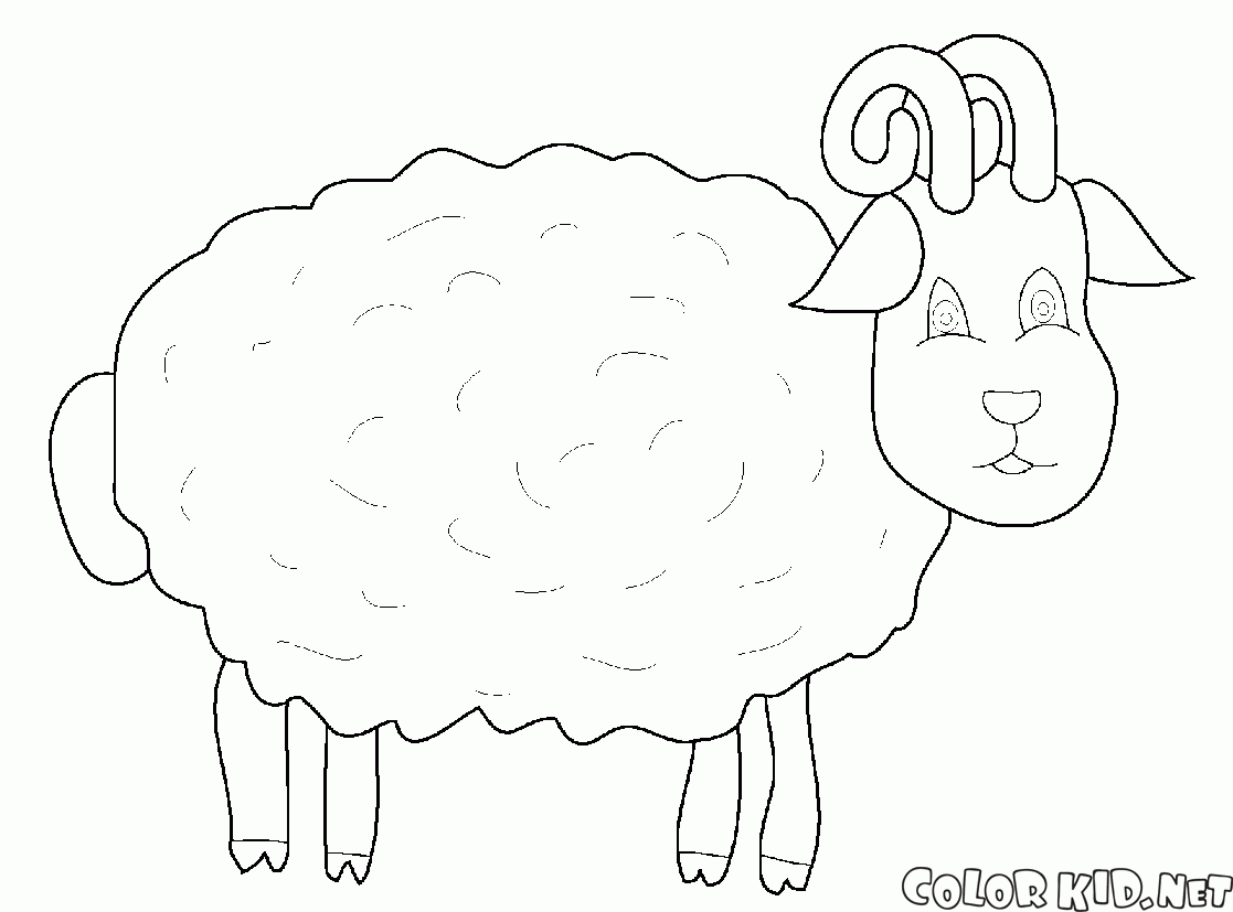 羊草甸