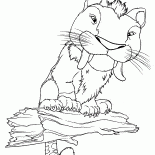 瓜哥大塊 - 寵物瓜哥