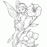 花園仙子羅塞塔