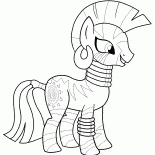 小馬可拉