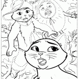 天空和穿靴子的貓