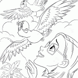 泰勒藍光蒼蠅