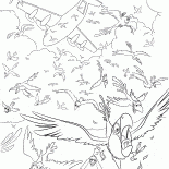 高空飛行