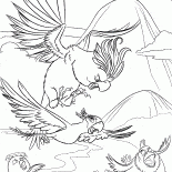追鳥