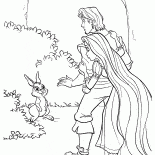森林兔子