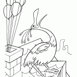 屋頂上的鳥