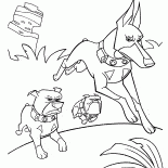 三狗