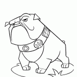 鬥牛犬
