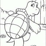爬行動物龜