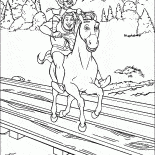 貓與史萊克的驢