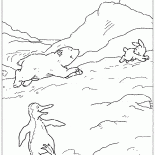 拉斯和野兔