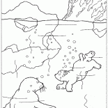 熊潛水