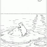 其中在浮冰上