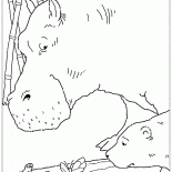 森林蝴蝶