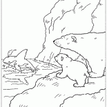 逆戟鯨保存拉爾斯