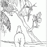 拉斯熱帶