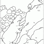 河馬和熊