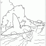 拉斯和虎鯨