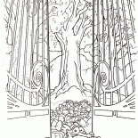 松鼠奎特的天堂