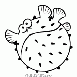河豚