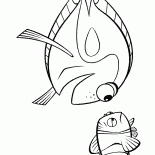 羅漢魚