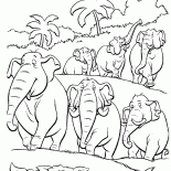 大象的群