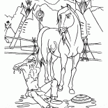 精神野生野馬