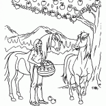 美洲原住民與蘋果