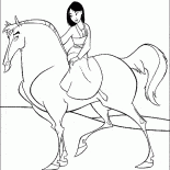 花木蘭一馬