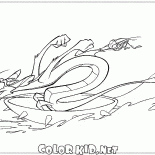 木梳和板球在水面上