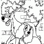 小姐與流氓散步