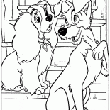 信賴的朋友交流