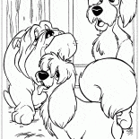 流浪漢和他的朋友