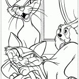 在夫人的房子貓