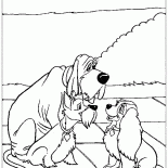 小姐與流氓的朋友