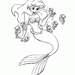 林依晨和海馬