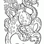 大章魚