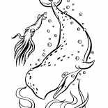 鯨魚的海洋