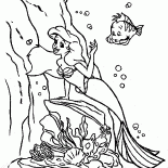 小美人魚和比目魚