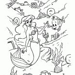人魚寶藏