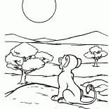 辛巴和太陽