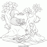 與柴郡貓茶黨