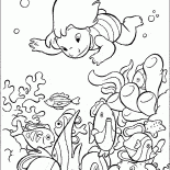 星際魚