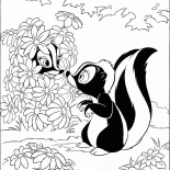 臭鼬隱藏