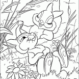 先生和夫人兔子