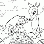 小鹿斑比的媽媽